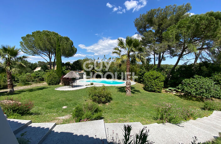 Maison Langlade  Grand Jardin Piscine — photo 5