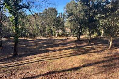 Terrain  379000 €