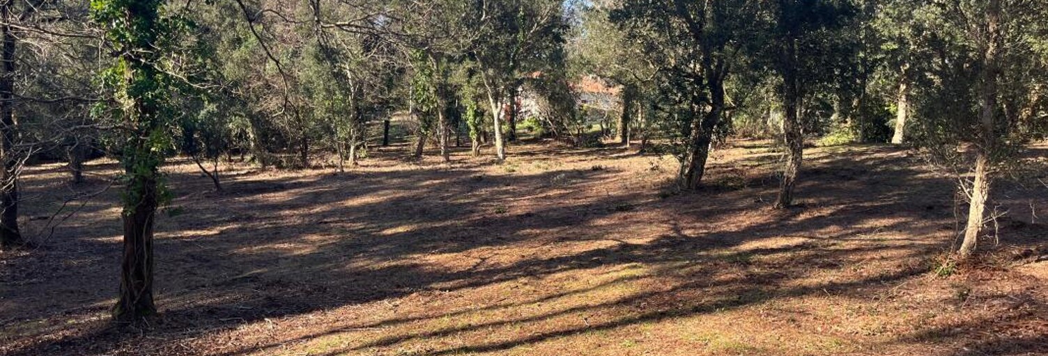 Terrain  973 m² à vendre à Labenne (40530)
