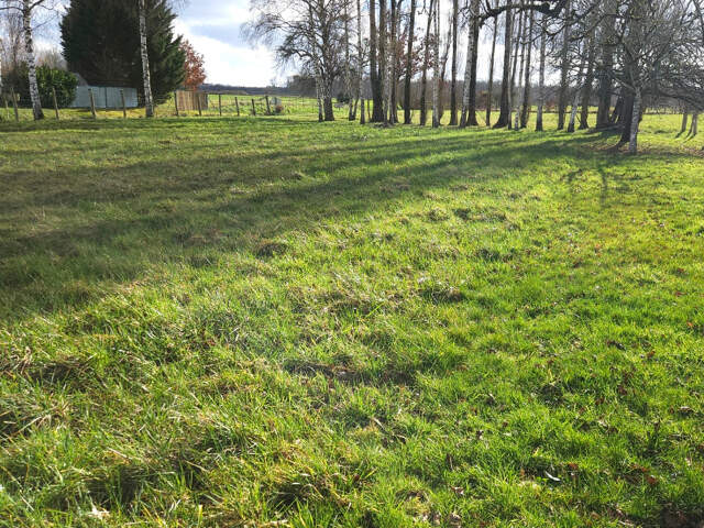 Terrain constructible Chauffour Les Baillys — photo du bien