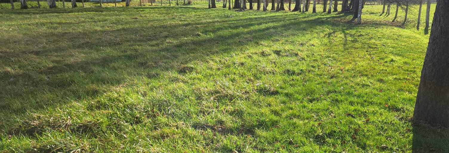 Terrain  1000 m² à vendre à Chauffour-lès-Bailly (10110)