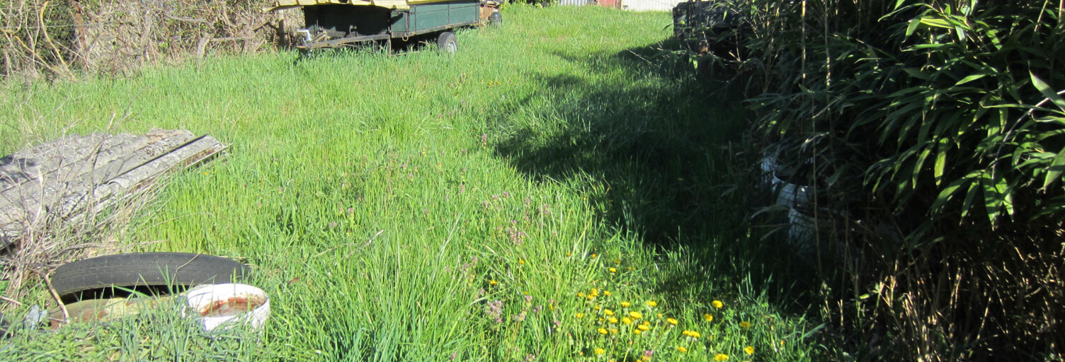 Terrain  319 m² à vendre à Obernai (67210)