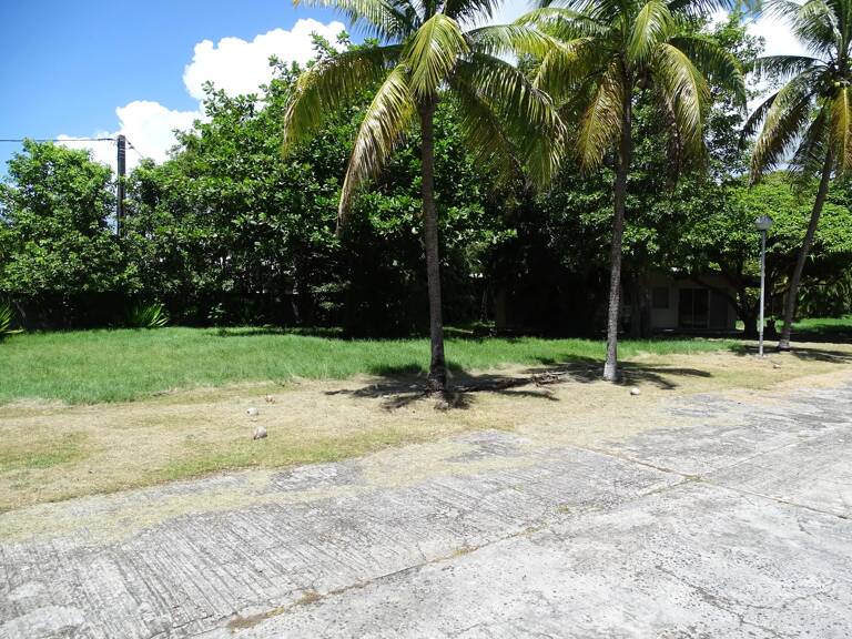 EXCLUSIVITÉ - TERRAIN PLAT DE 7 157 M² À 5 MINUTES DE LA PLAGE — photo 1