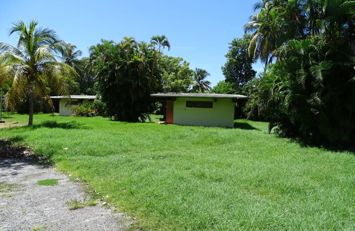 EXCLUSIVITÉ - TERRAIN PLAT DE 7 157 M² À 5 MINUTES DE LA PLAGE — photo 4