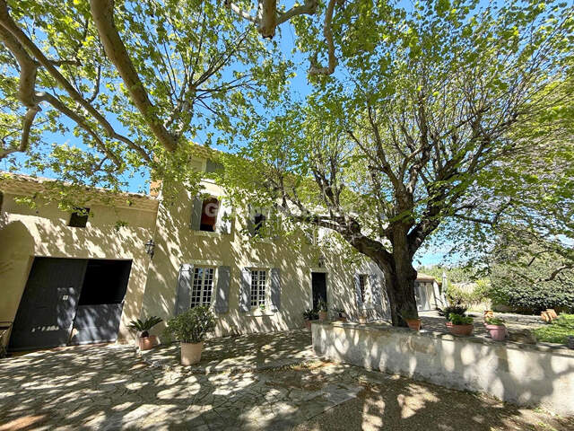 Mas du XVIIème - Campagne — photo du bien