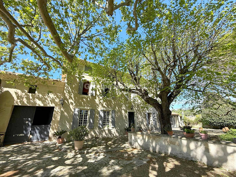Mas du XVIIème - Campagne — photo 1