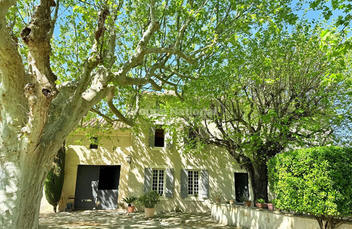 Mas du XVIIème - Campagne — photo 3