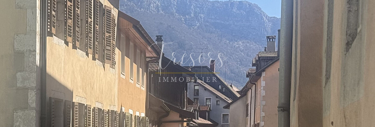 Appartement 1 Pièce 26 m² à vendre à Annecy (74000)
