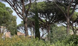 Terrain 1900 m² à construire Sainte-Maxime (83120)