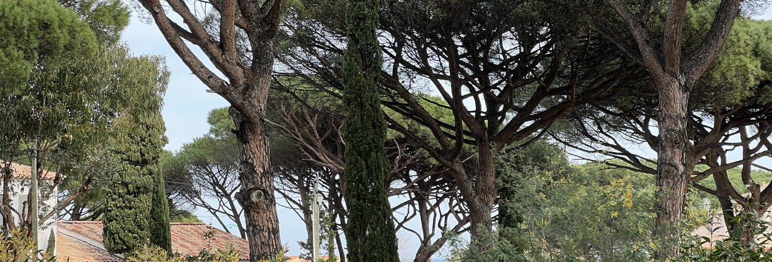 Terrain 1900 m² à construire Sainte-Maxime (83120)