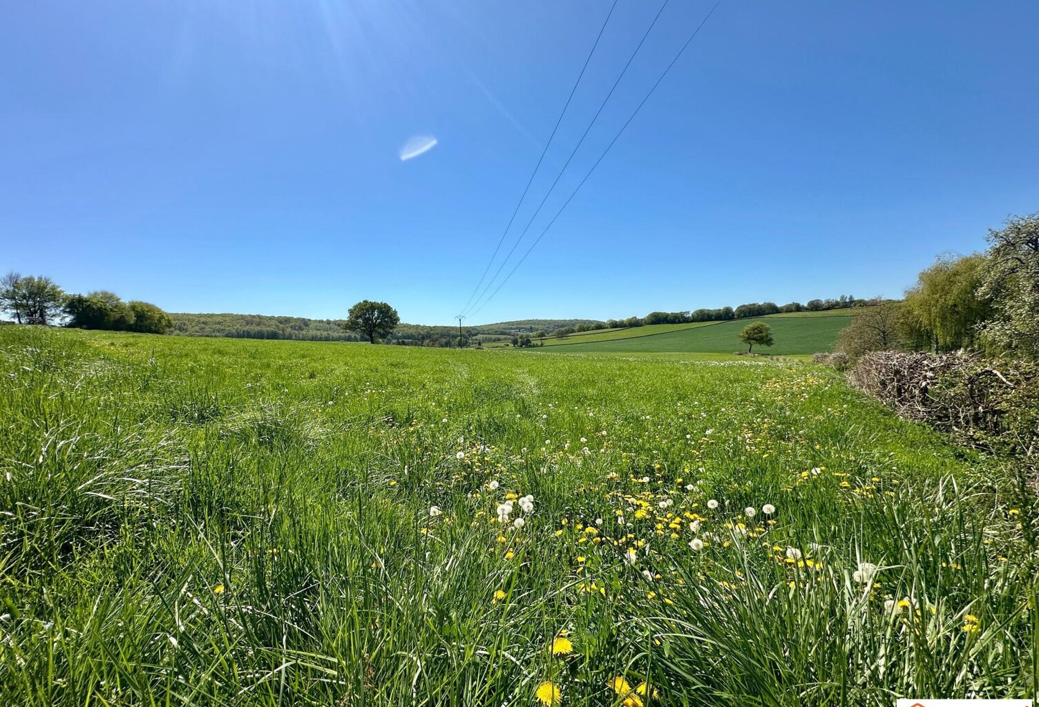 4 parcelles de terrains à bâtir de 2500 m2 chacun — photo 1