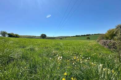 Terrain  29000 €