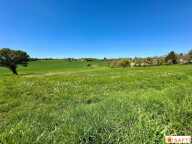 4 parcelles de terrains à bâtir de 2500 m2 chacun — photo 2