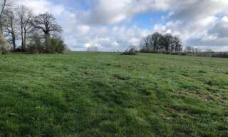 Terrain  33202 m² à vendre à Longny les Villages (61290)