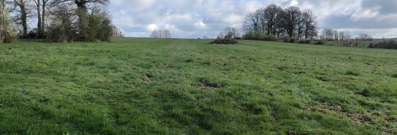 Terrain  33202 m² à vendre à Longny les Villages (61290)