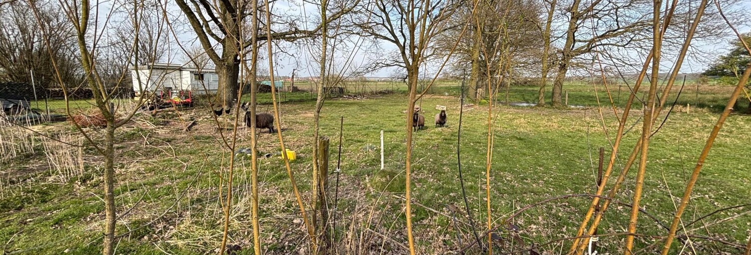 Maison 7 Pièces 210 m² à vendre à Hazembourg (57430)