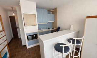 Appartement 1 Pièce 22 m² à louer à Mauguio (34130)