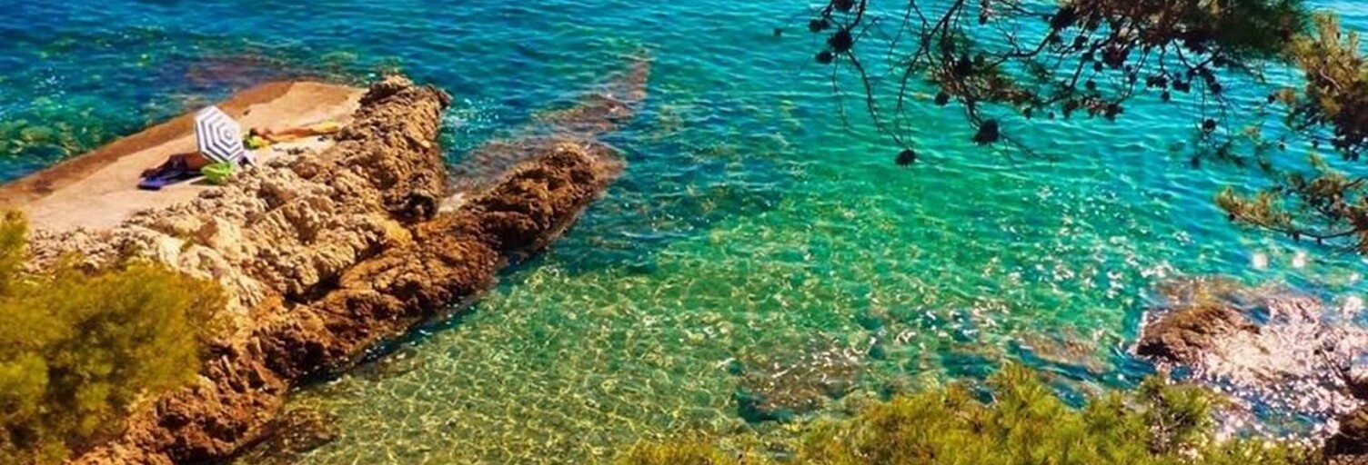 Commerce 25 Pièces 630 m² à vendre à Fréjus (83600)