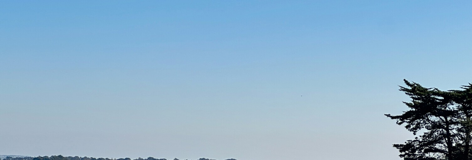 Maison 5 Pièces 118 m² à vendre à Saint-Philibert (56470)