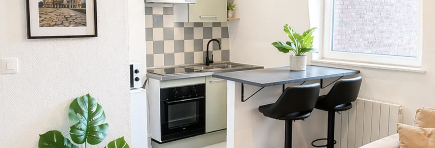 Appartement 2 Pièces 28 m² à vendre à Roubaix (59100)