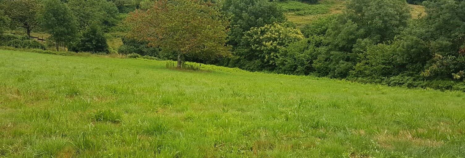 Terrain  2865 m² à vendre à Beaumont (19390)