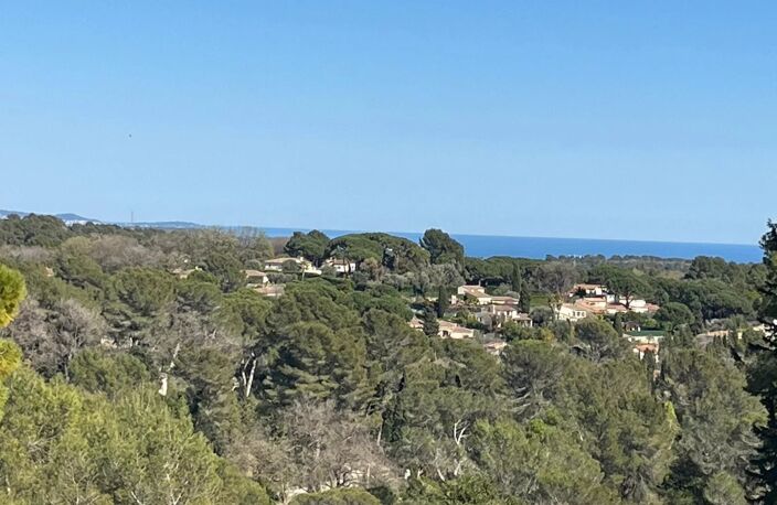 Maison — photo 3