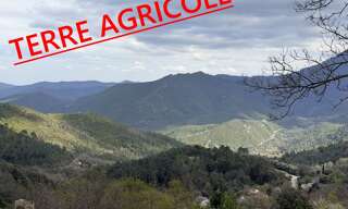 Terrain   m² à vendre à Venaco (20231)