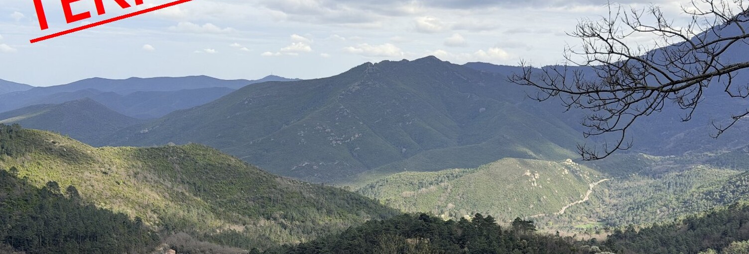 Terrain   m² à vendre à Venaco (20231)