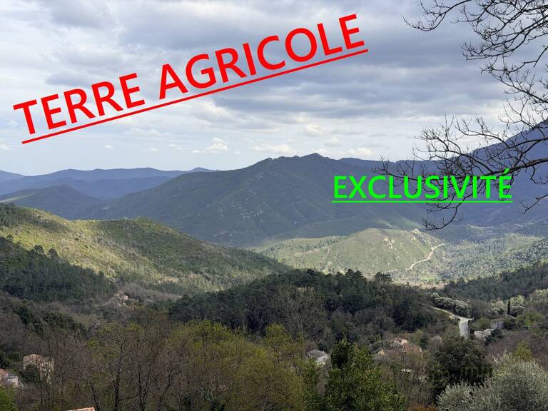 Terrain agricole — photo 1