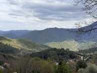 Terrain agricole — photo 2