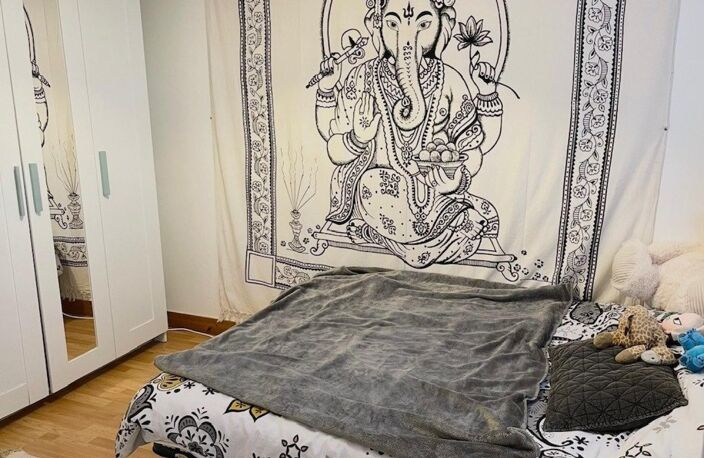 Appartement T3 lumineux - Proche centre ville — photo 4