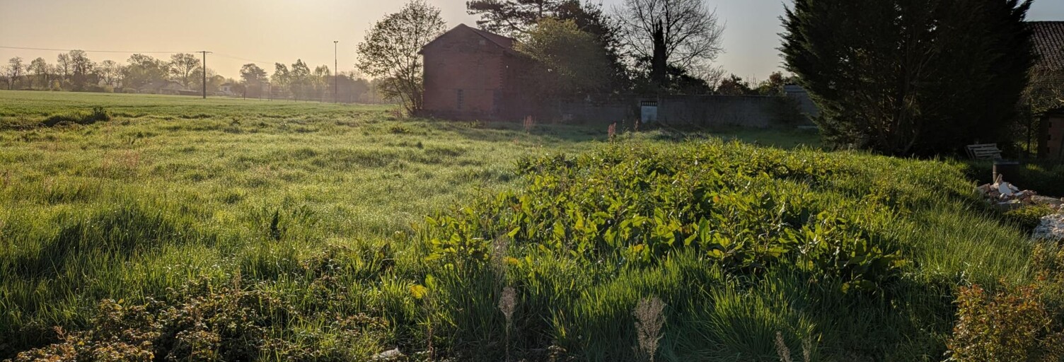 Terrain  2300 m² à vendre à Saint-Porquier (82700)
