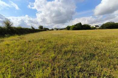 Terrain  85000 €