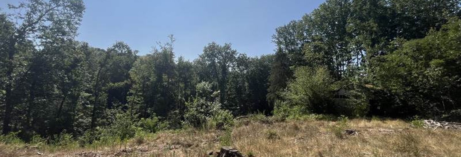 Terrain  4300 m² à vendre à Verneuil-sur-Vienne (87430)