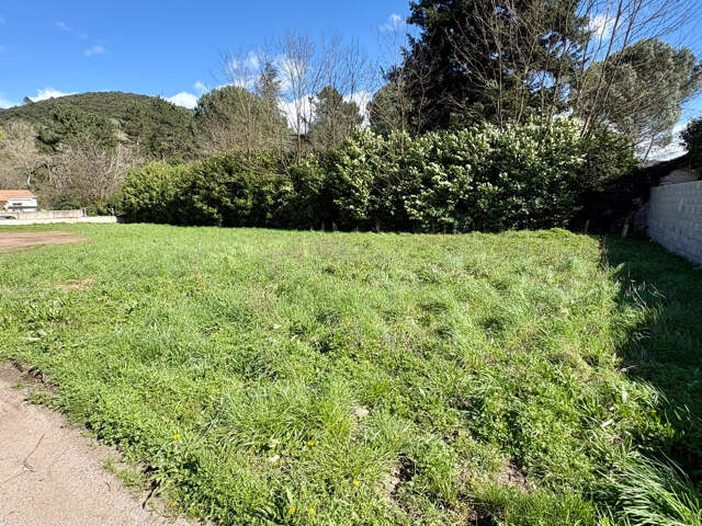 Terrain plat de 739m2 — photo du bien