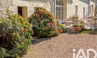Maison 18 Pièces 490 m² à vendre à La Chapelle-sur-Loire (37140)