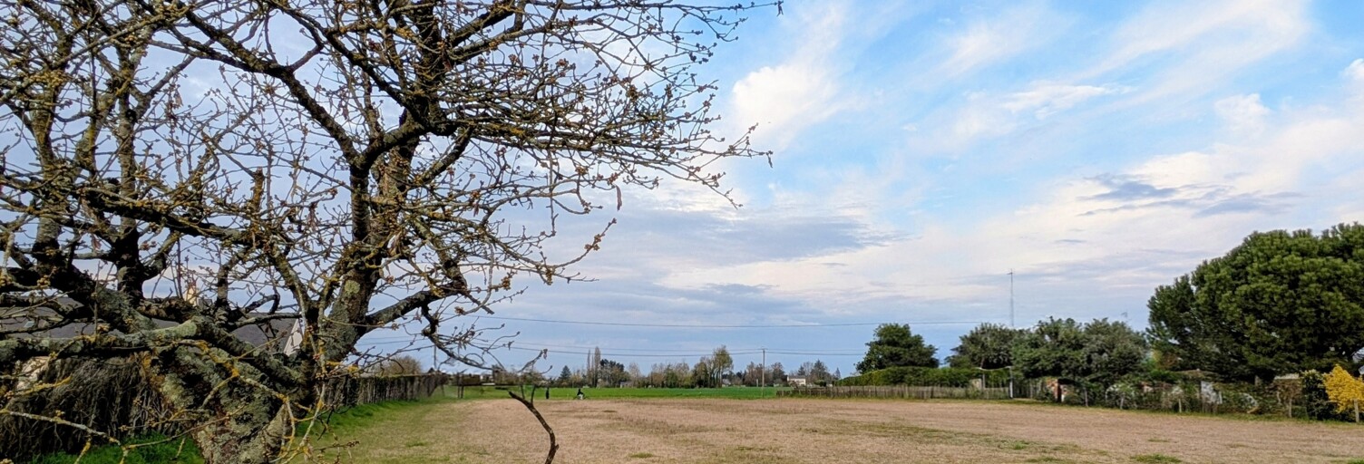 Terrain  1840 m² à vendre à Beaufort-en-Anjou (49250)