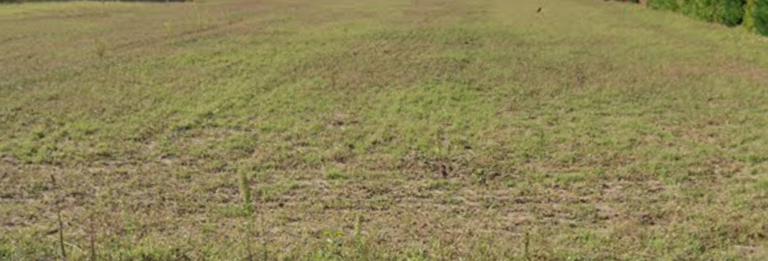 Terrain  1223 m² à vendre à Beaufort-en-Anjou (49250)