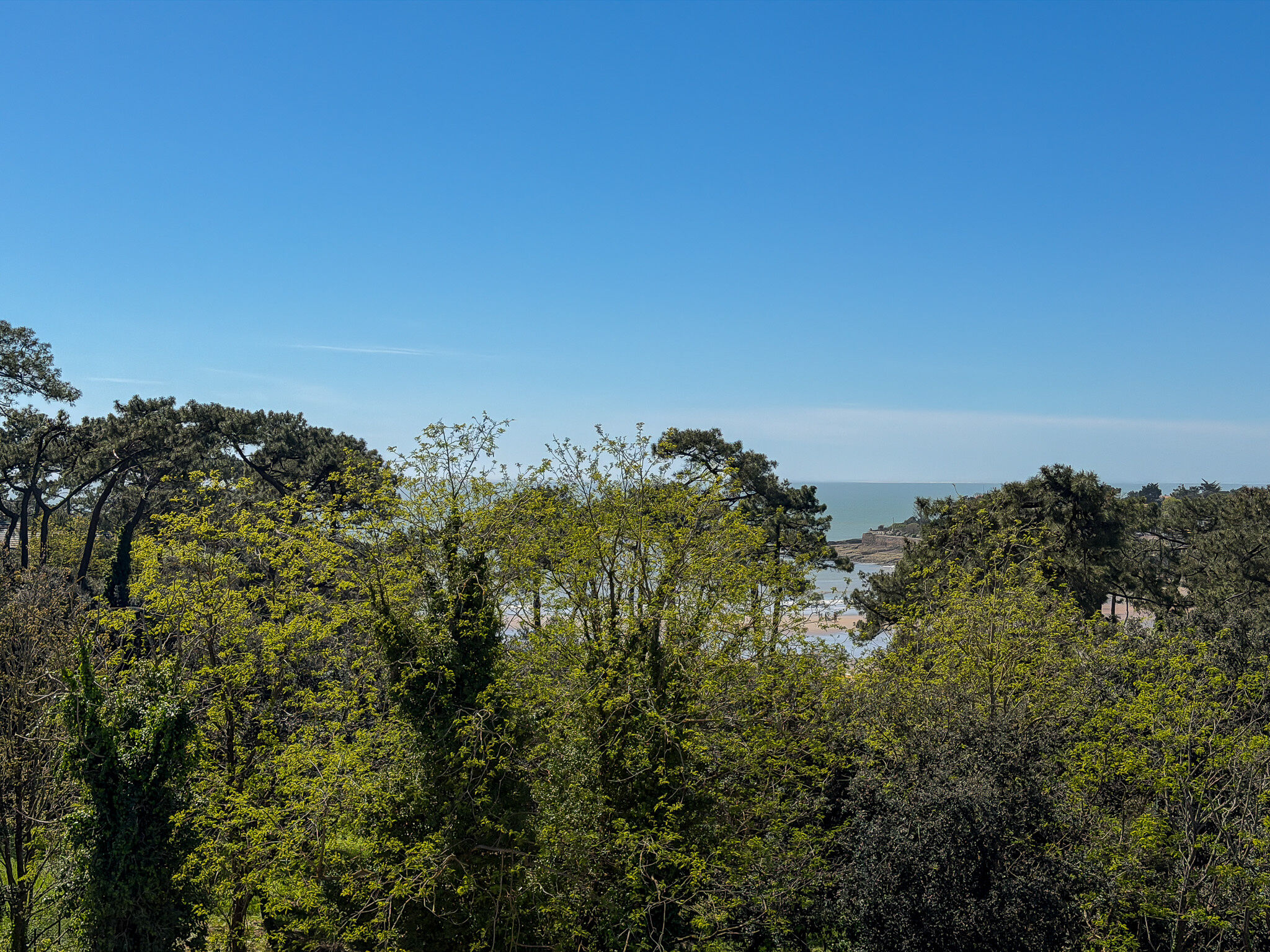 Appartement  T1 à vendre Vaux-sur-Mer 17640