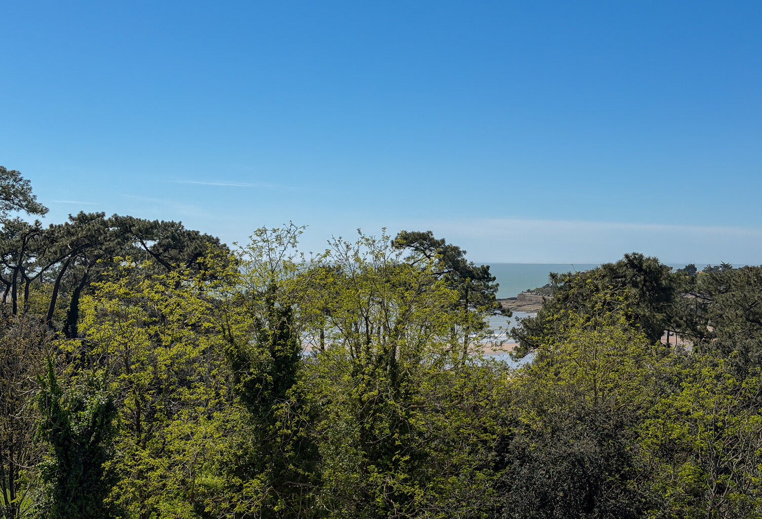LE NAUZAN — photo 1