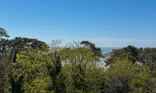 Appartement 1 Pièce 32 m² à vendre à Vaux-sur-Mer (17640)