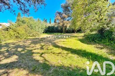 Terrain  262500 €