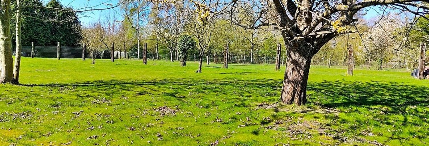 Terrain  1654 m² à vendre à Leforest (62790)