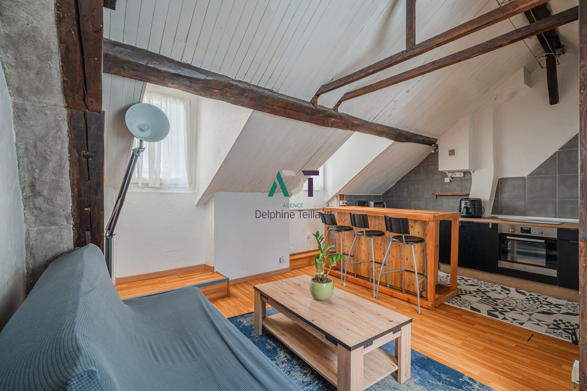 Appartement  T2 à vendre Grenoble 38000