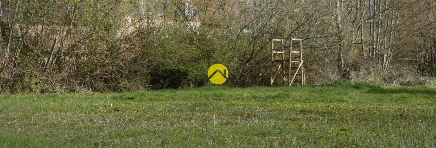 Maison 1 Pièce 30 m² à vendre à Argent-sur-Sauldre (18410)