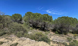 Terrain  2440 m² à vendre à La Livinière (34210)