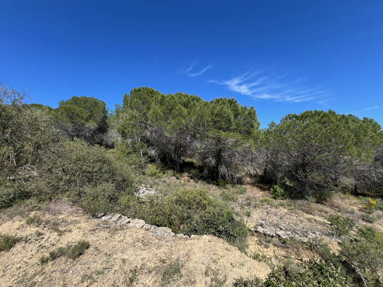 Terrain agricole 2 440 m2   Cadre naturel   La Livinière — photo 1