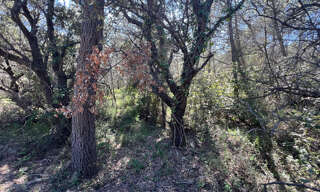 Terrain  3680 m² à vendre à La Livinière (34210)