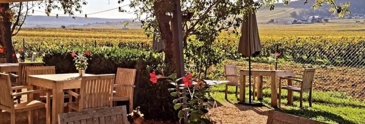 Commerce  144 m² à vendre à Volnay (21190)