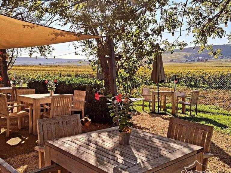 Superbe restaurant avec logement privé dans les vignes de la — photo 1